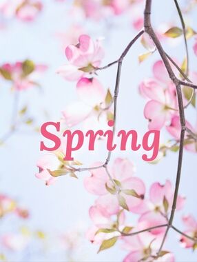 🌷🪺 Spring 🪺🌷